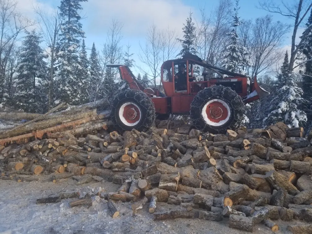 Débusqueuse Timberjack sur un tas de billes tronçonnées l'hiver