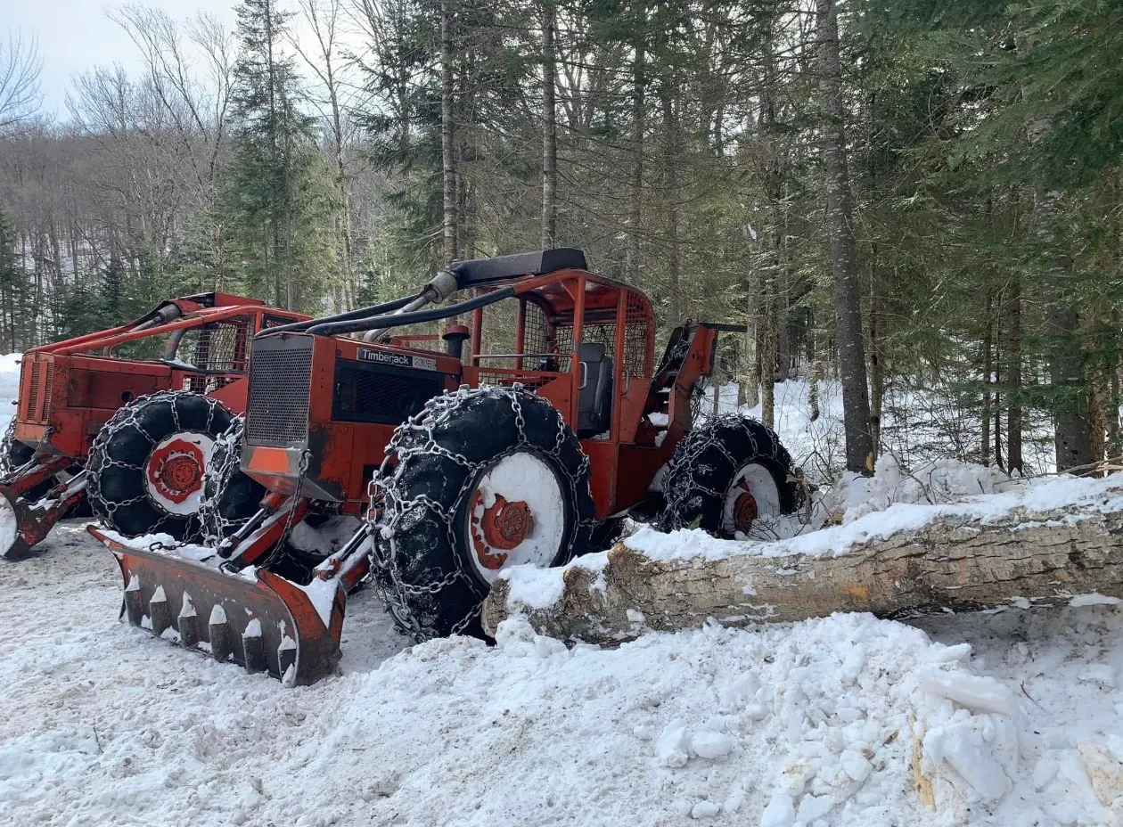 Deux débusqueuses Timberjack avec chaînes dans la neige, près d'une bille sur un chemin forestier
